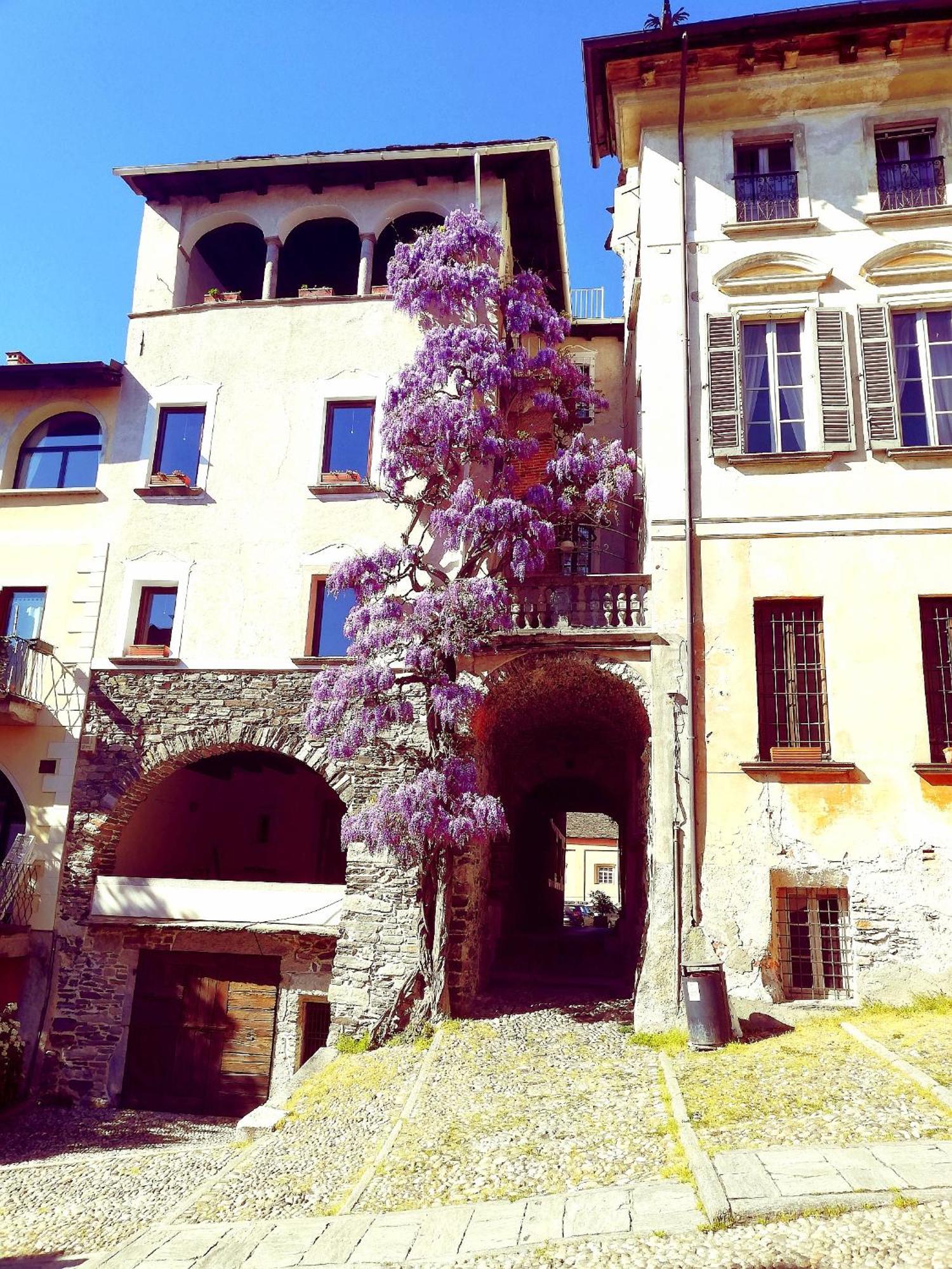 Casa Longhi Apartment Orta San Giulio Bagian luar foto